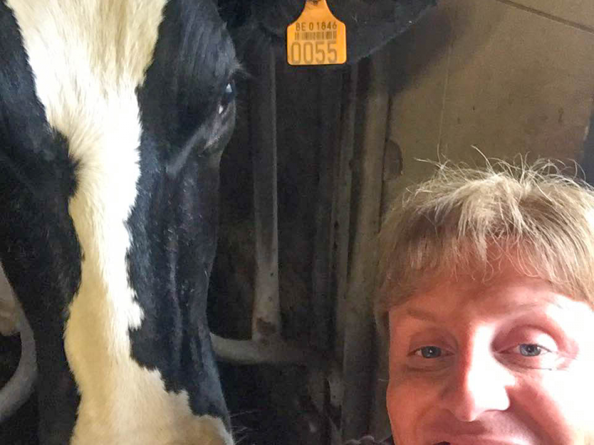 Joeri neemt een selfie met een koe.